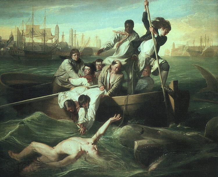 John Singleton Copley Watson and the Shark